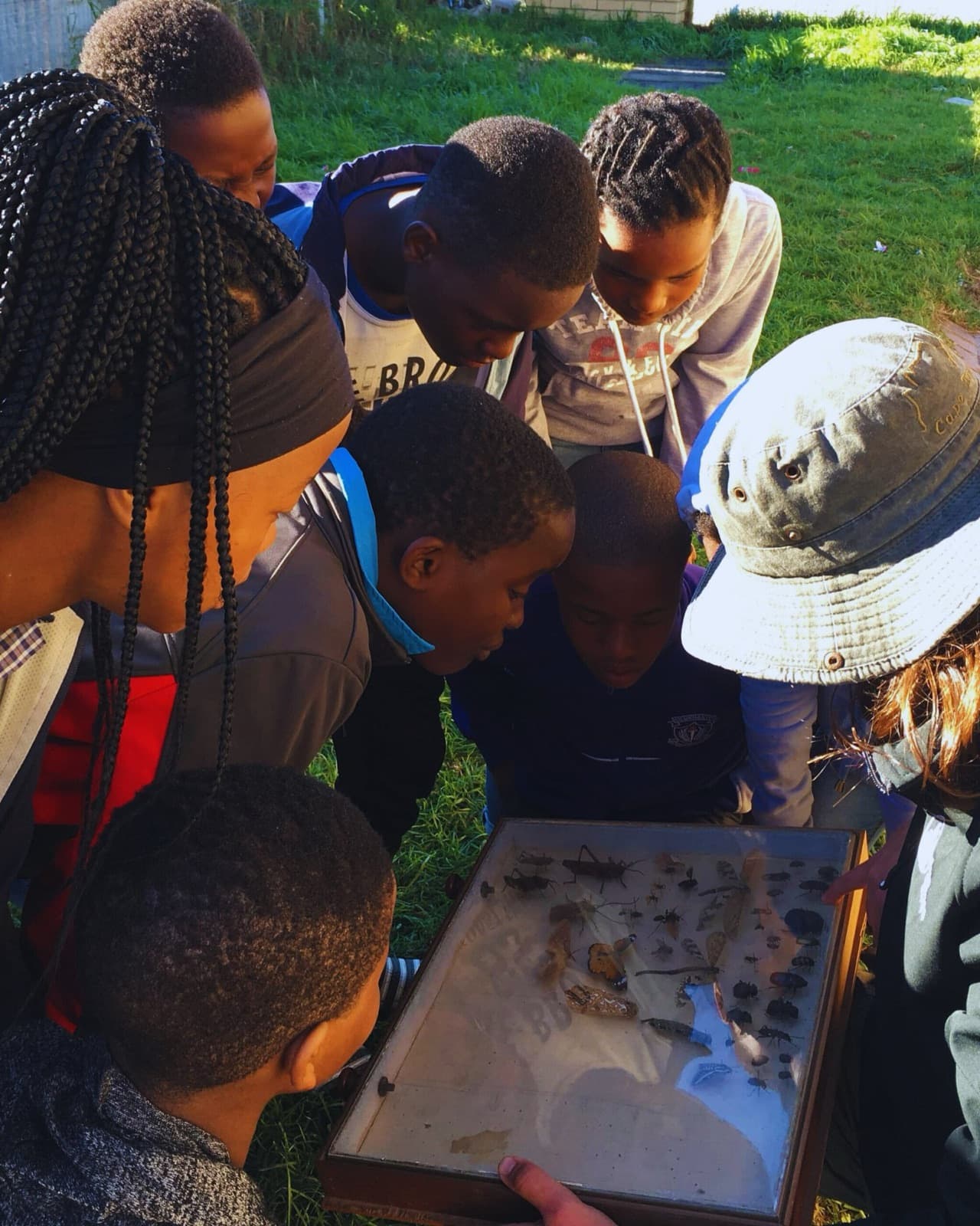 A group learning about biodiversity outdoors