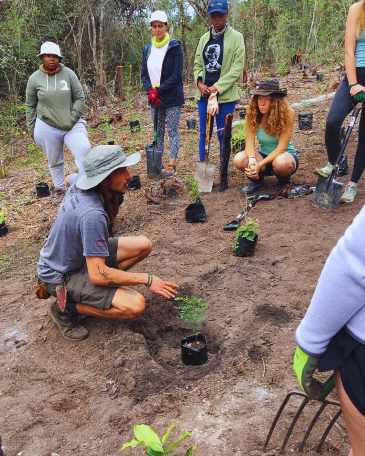 Restoring a landscape with indigenous planting